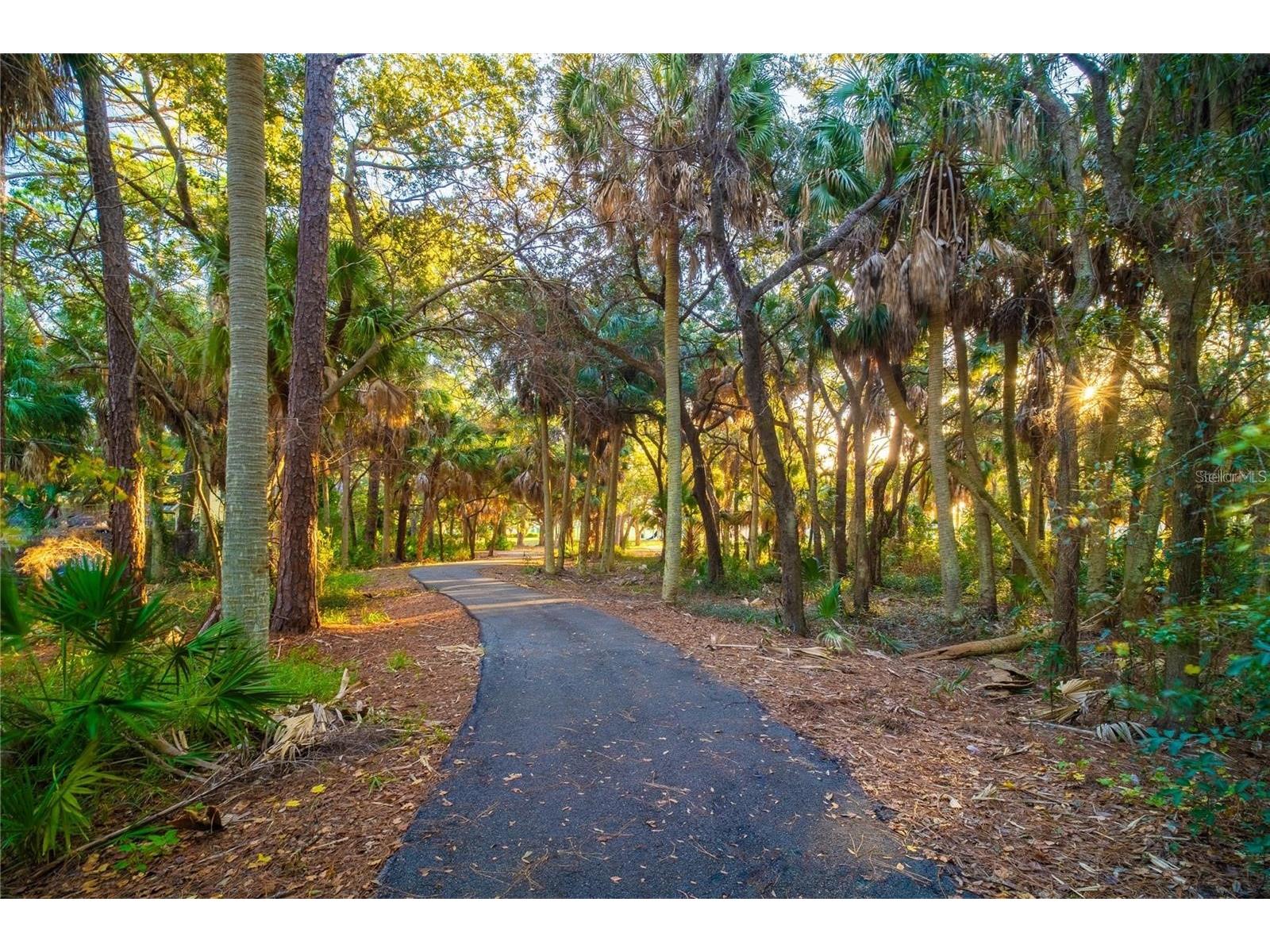 511 Buckingham Avenue E Oldsmar FL 34677 TB8507804 image77