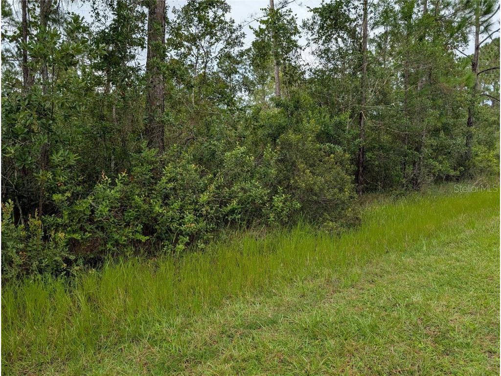 511 Calendula Drive Indian Lake Estates FL 33855 - LAKE WALK-IN-WATER TB8415366 image8