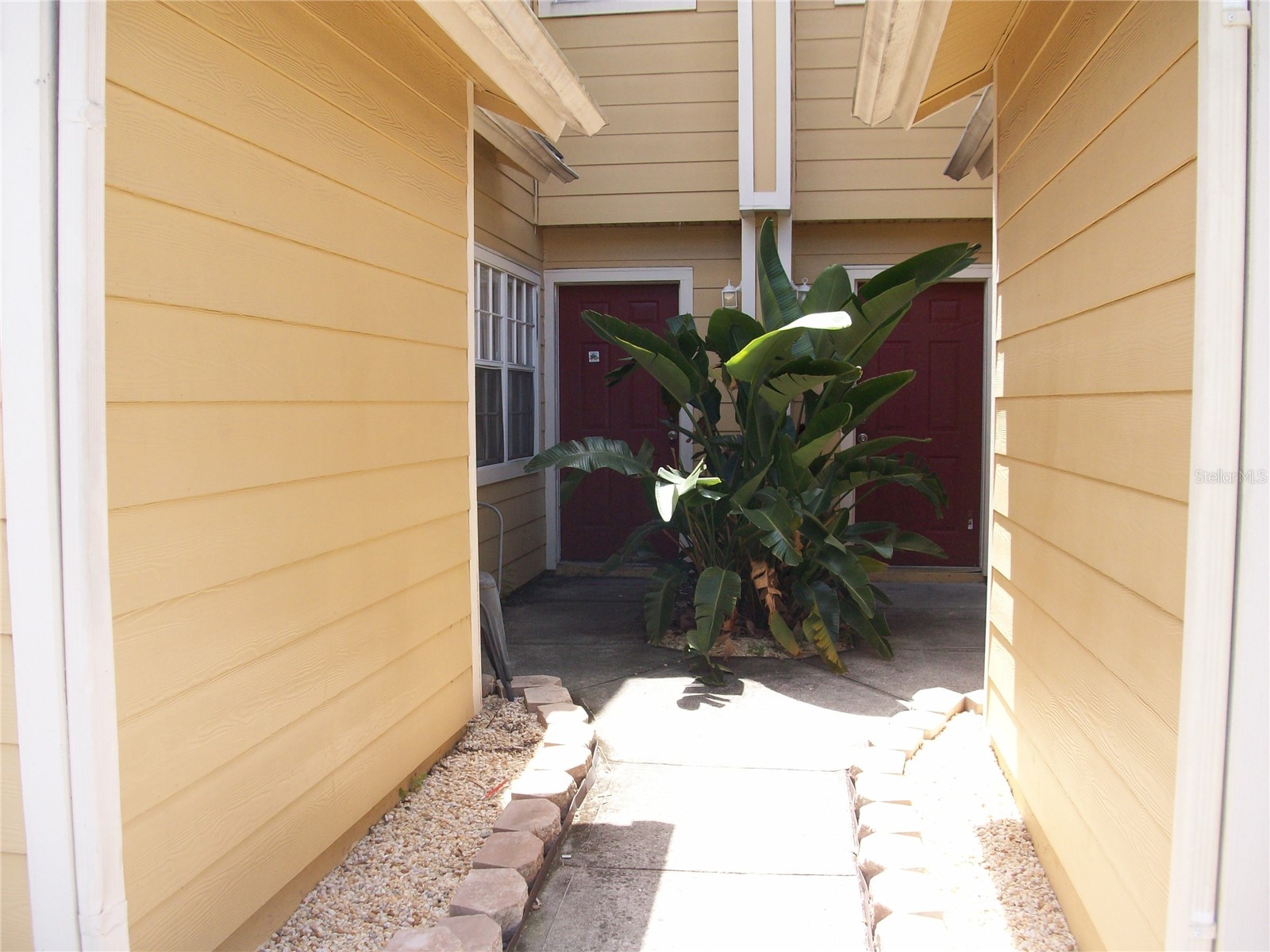 511 Coconut Palm Way Davenport FL 33897 O6406629 image3