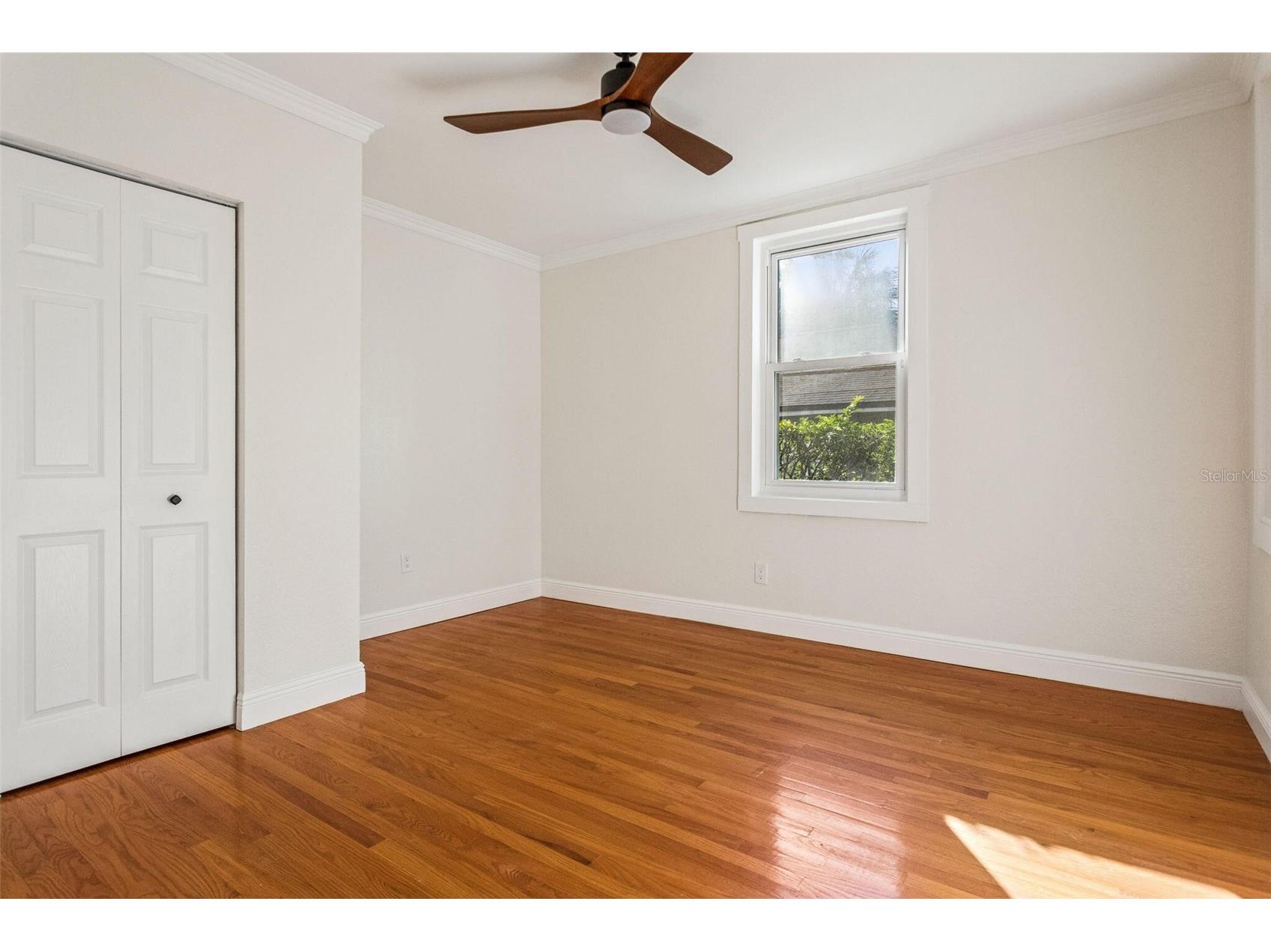 511 E Frances Avenue Tampa FL 33602 O6379941 image11