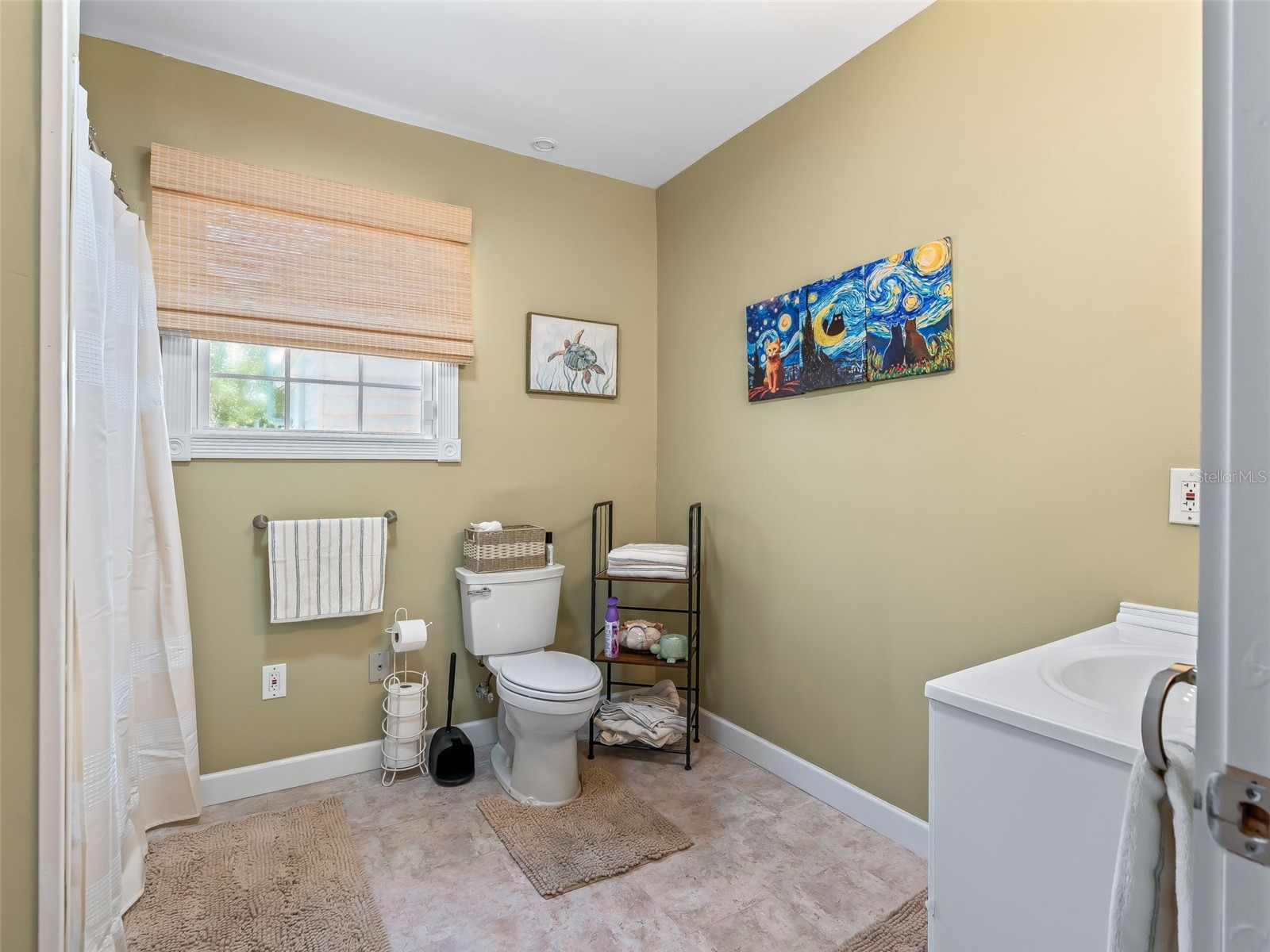 511 E Mirror Lake Drive Fruitland Park FL 34731 - Mirror Lake G5114834 image34