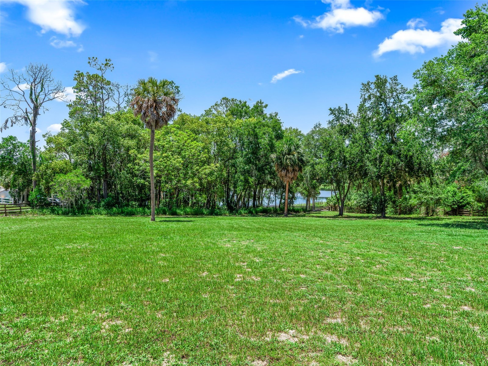 511 E Mirror Lake Drive Fruitland Park FL 34731 - Mirror Lake G5114834 image78