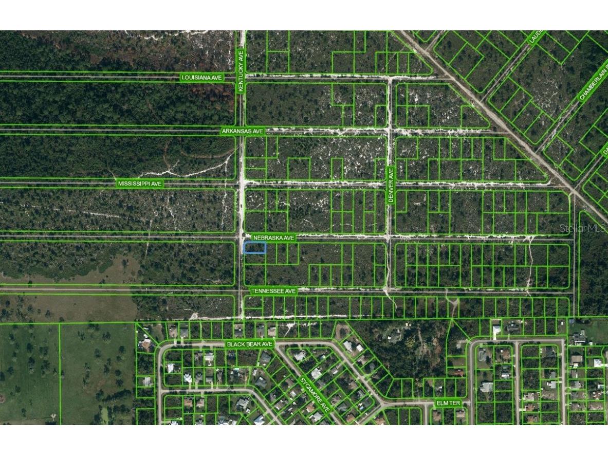 511 Kentucky Avenue Lake Placid FL 33852 OM625669 image1