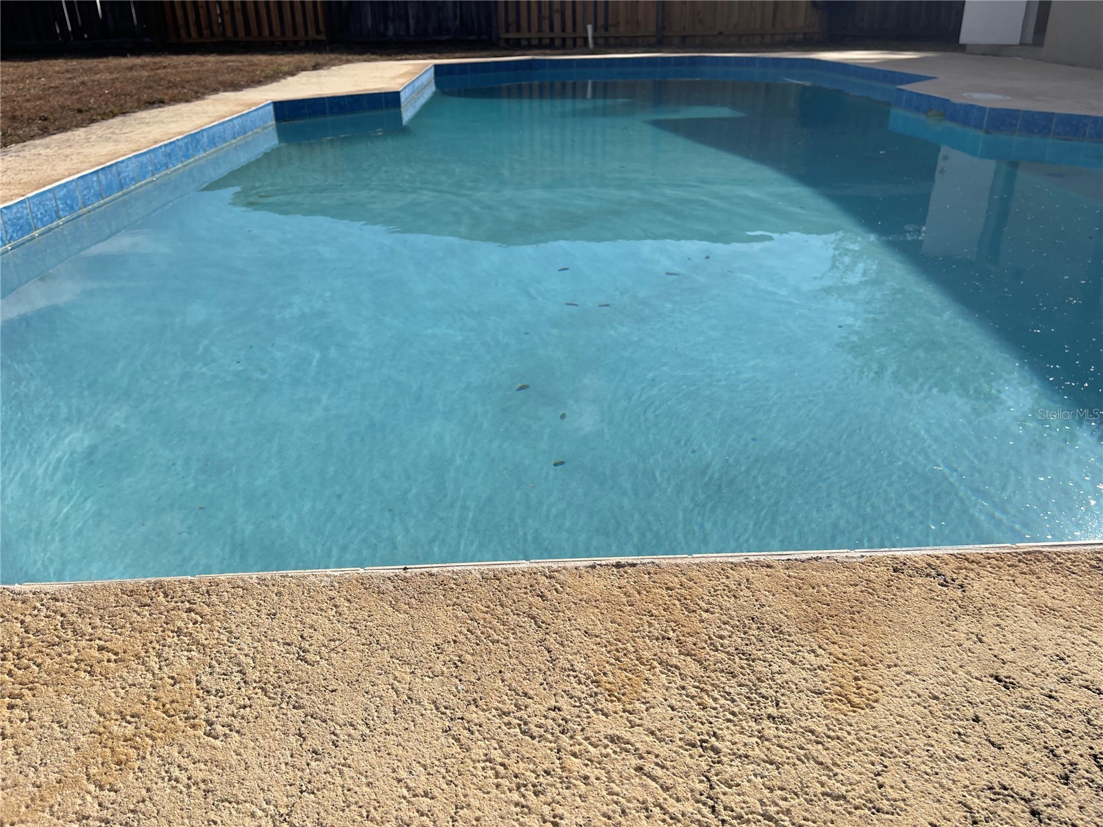 511 Kilimanjaro Drive Kissimmee FL 34758 S5117973 image45