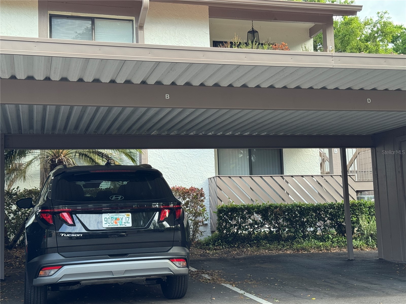 511 Longfellow Court #B Safety Harbor FL 34695 W7884454 image28