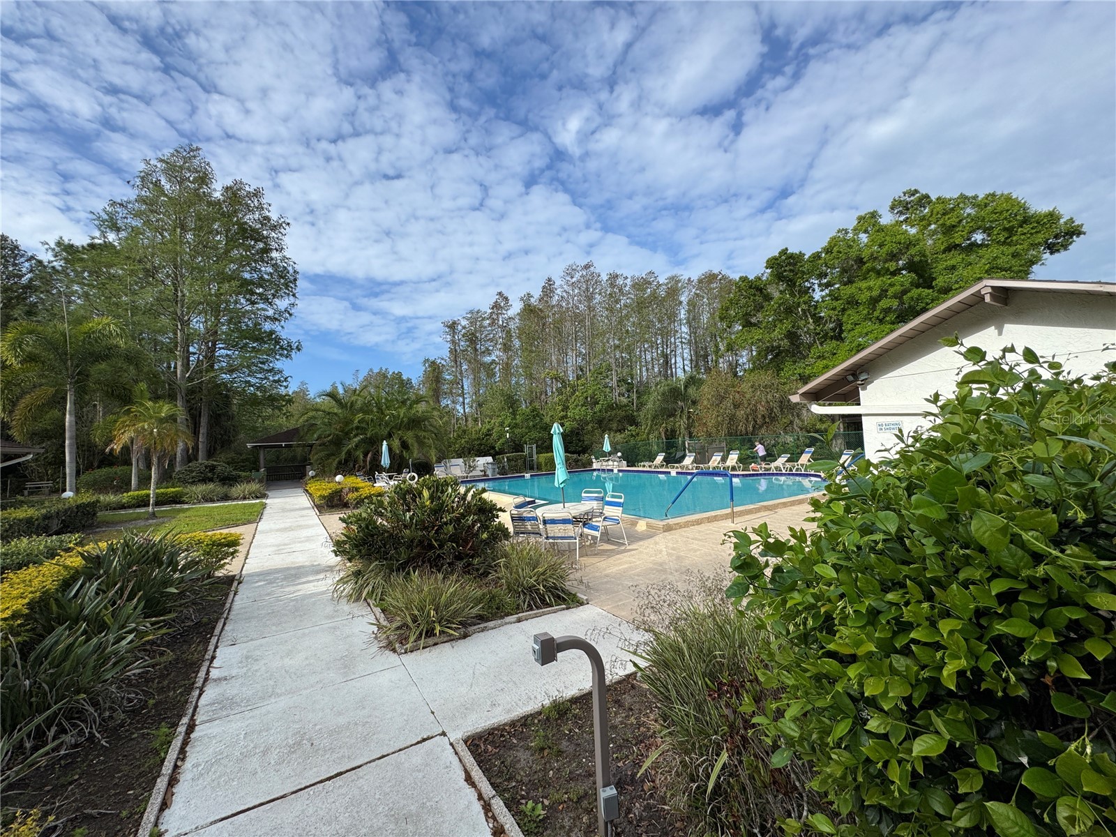 511 Longfellow Court #B Safety Harbor FL 34695 W7884454 image32
