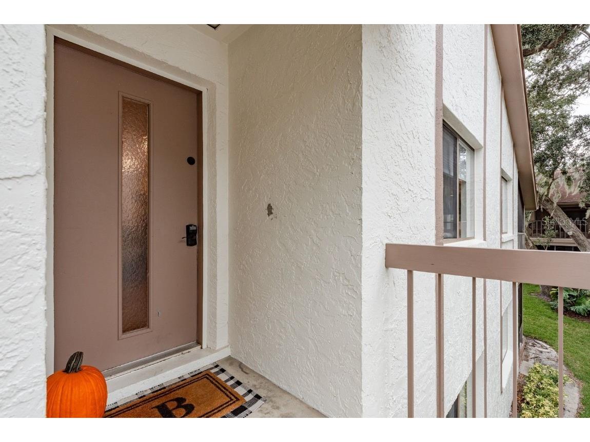 511 Longfellow Court #D Safety Harbor FL 34695 TB8424228 image1