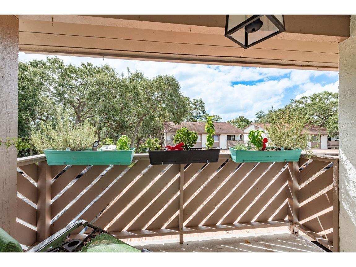 511 Longfellow Court #D Safety Harbor FL 34695 TB8424228 image18