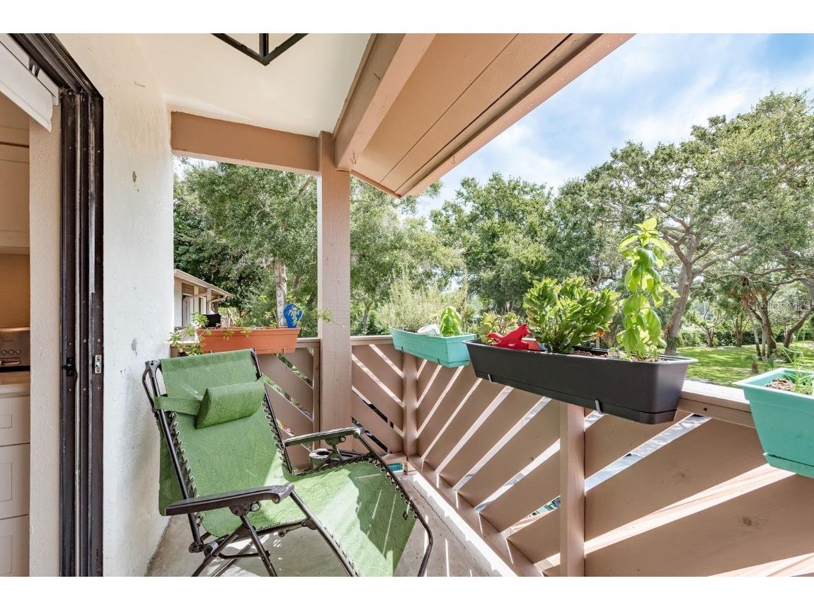 511 Longfellow Court #D Safety Harbor FL 34695 TB8424228 image19