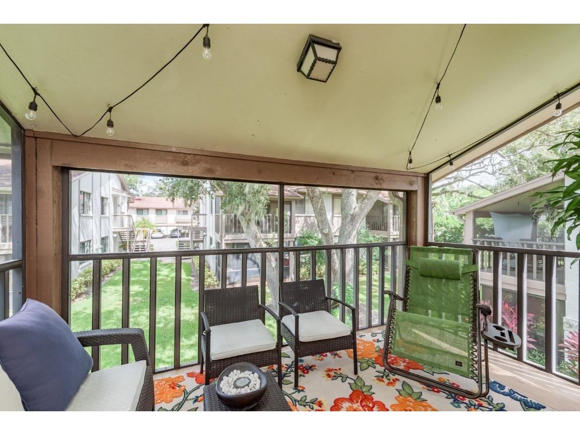 511 Longfellow Court #D Safety Harbor FL 34695 TB8424228 image26