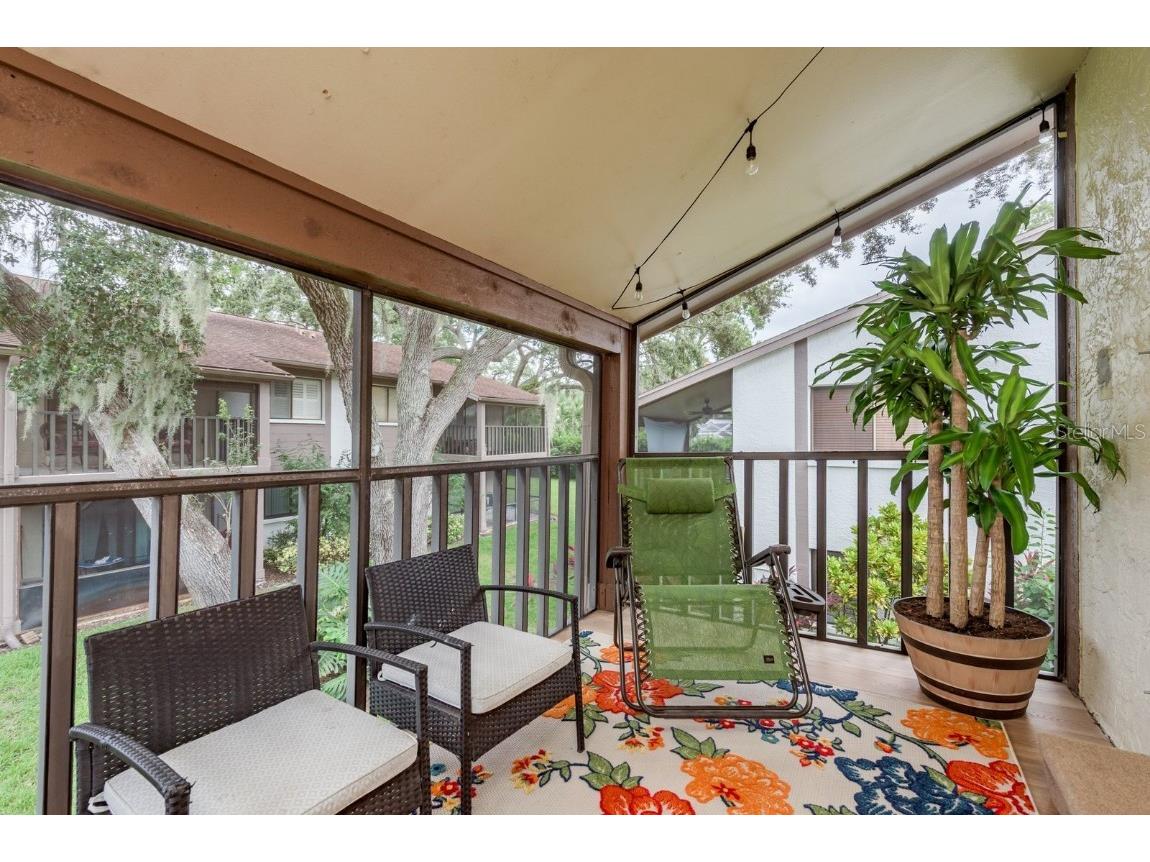 511 Longfellow Court #D Safety Harbor FL 34695 TB8424228 image27