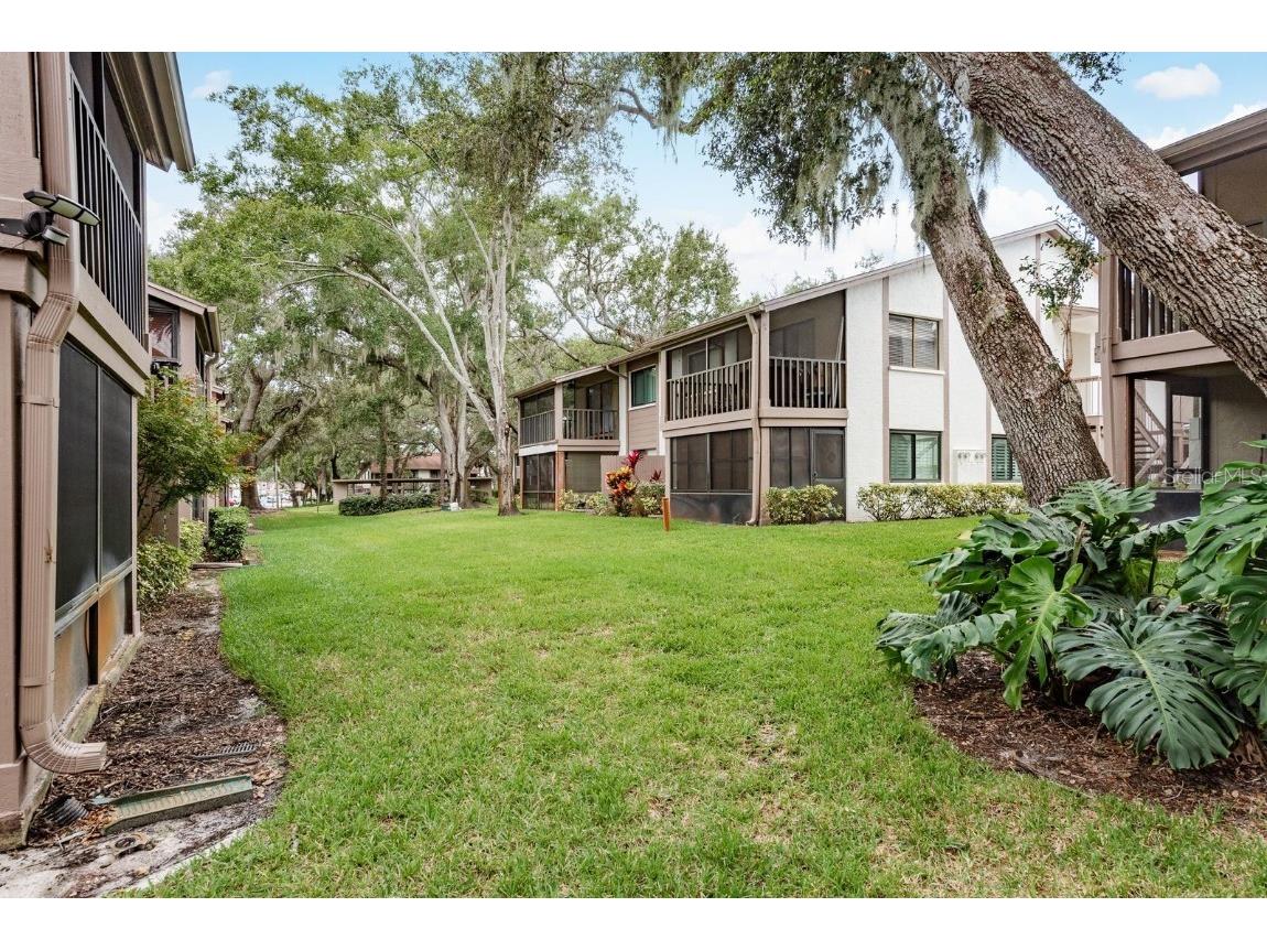 511 Longfellow Court #D Safety Harbor FL 34695 TB8424228 image29