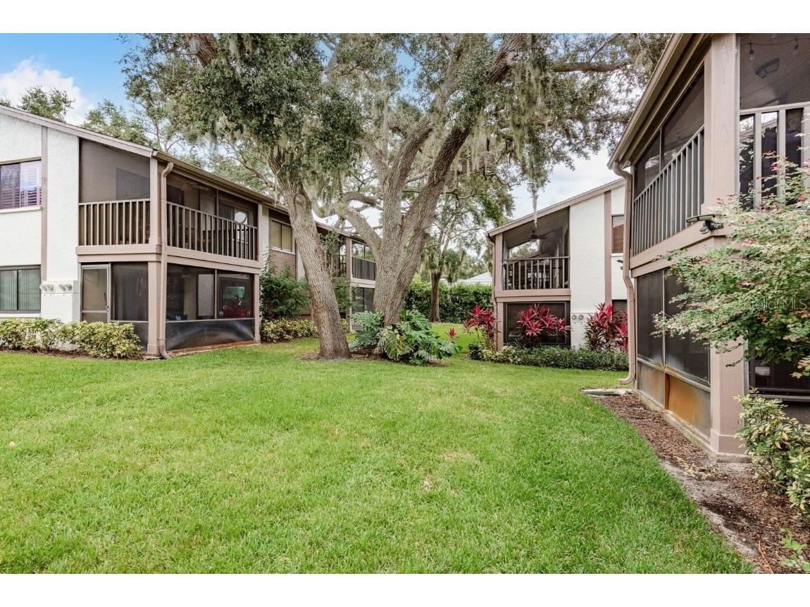 511 Longfellow Court #D Safety Harbor FL 34695 TB8424228 image31