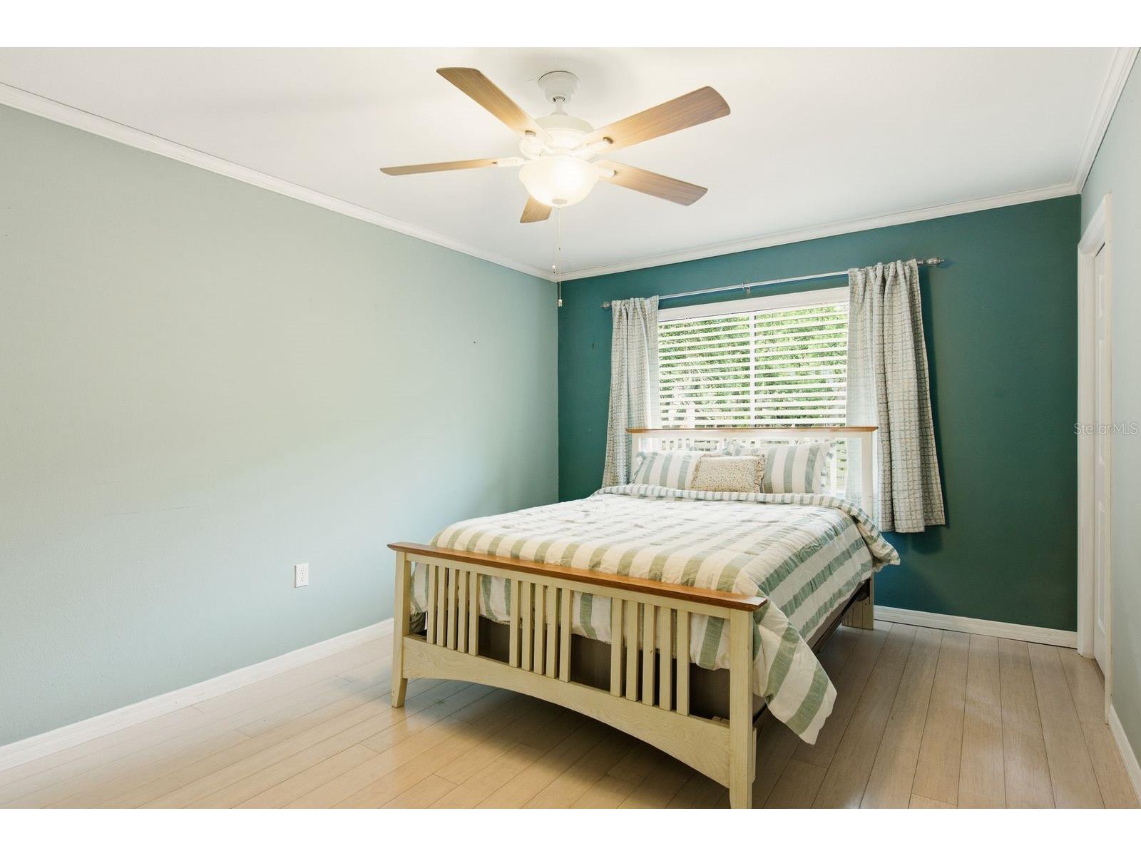 511 Mistletoe Court #C Safety Harbor FL 34695 TB8528521 image11