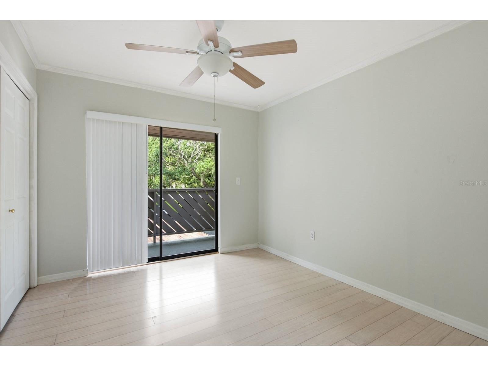 511 Mistletoe Court #C Safety Harbor FL 34695 TB8528521 image14