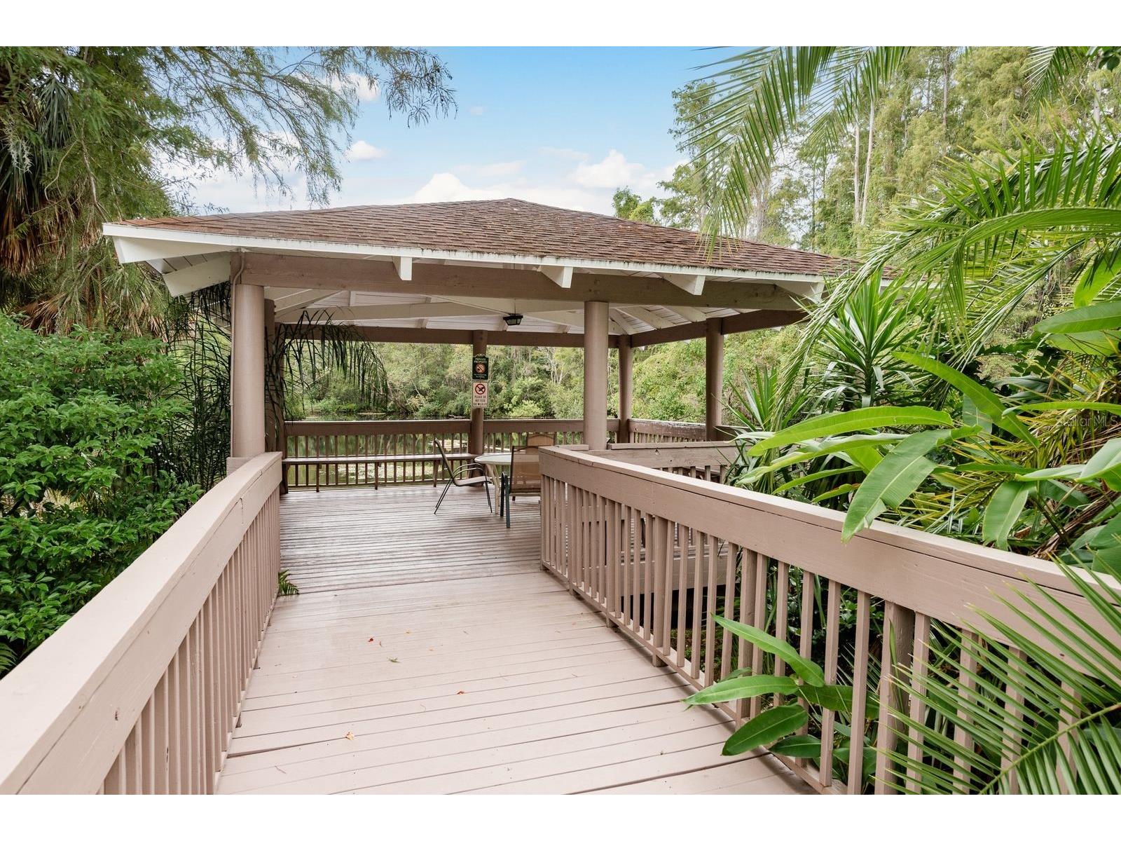 511 Mistletoe Court #C Safety Harbor FL 34695 TB8528521 image27