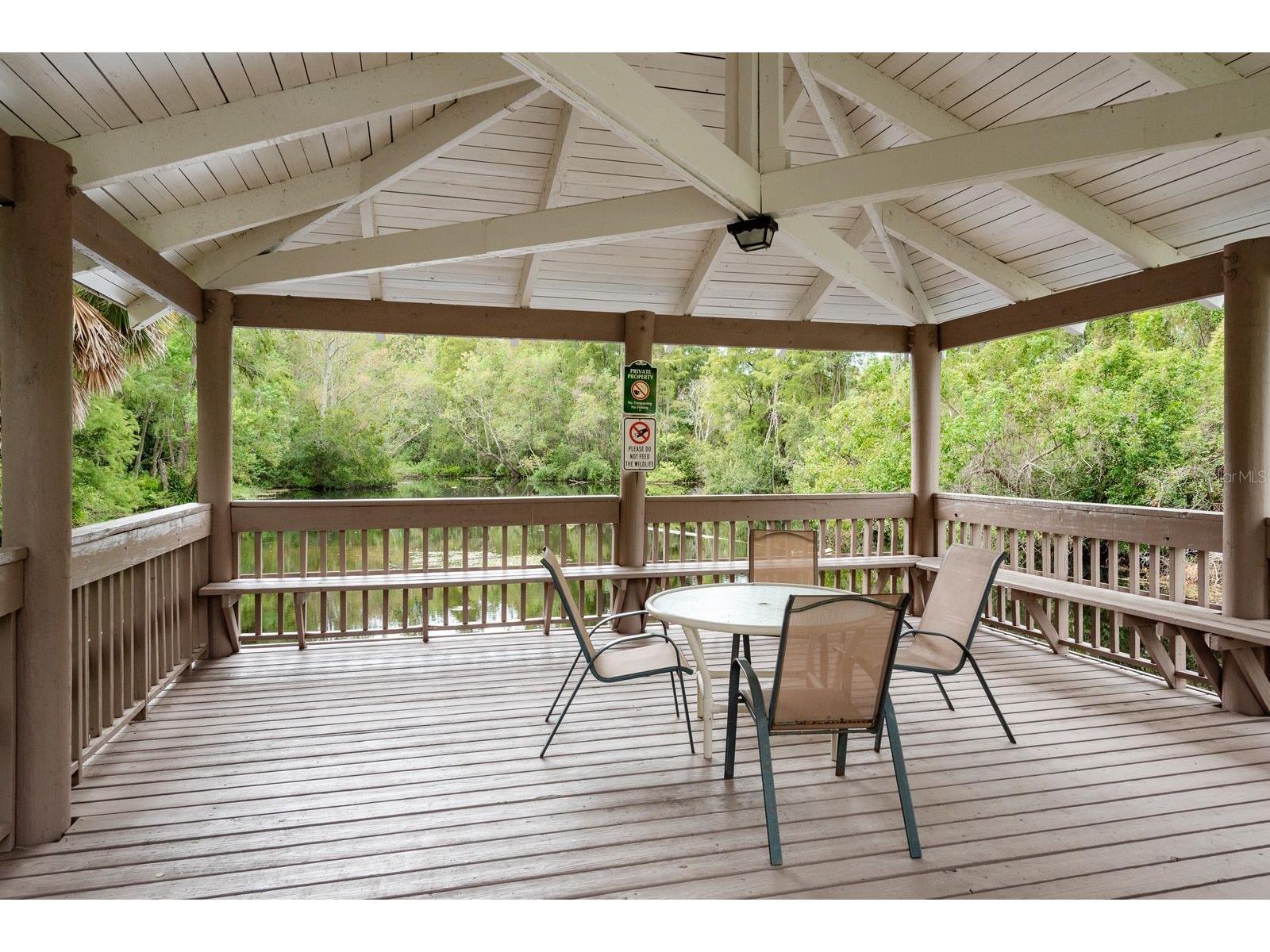 511 Mistletoe Court #C Safety Harbor FL 34695 TB8528521 image28