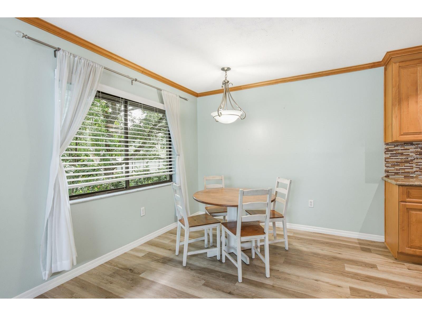 511 Mistletoe Court #C Safety Harbor FL 34695 TB8528521 image6