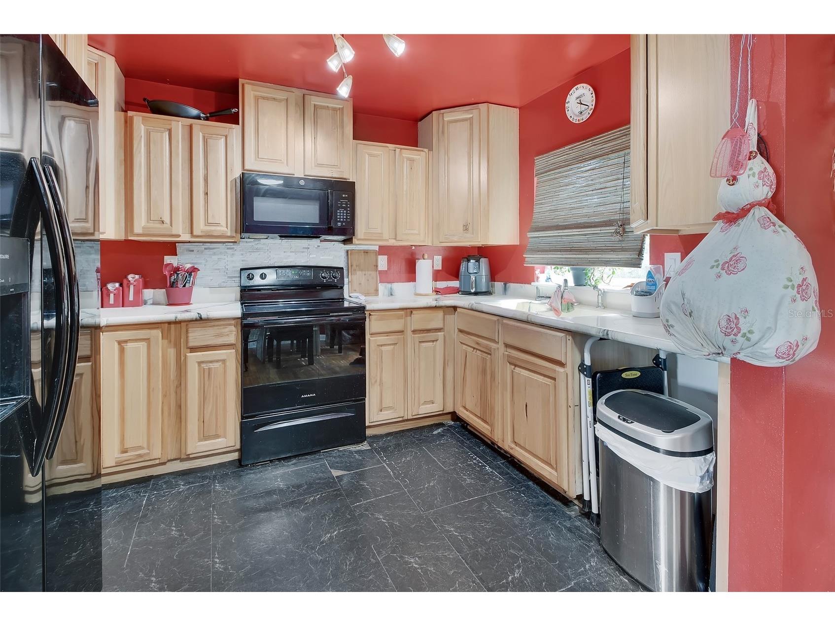 511 S Elsasser Street Deland FL 32720 V4949175 image7