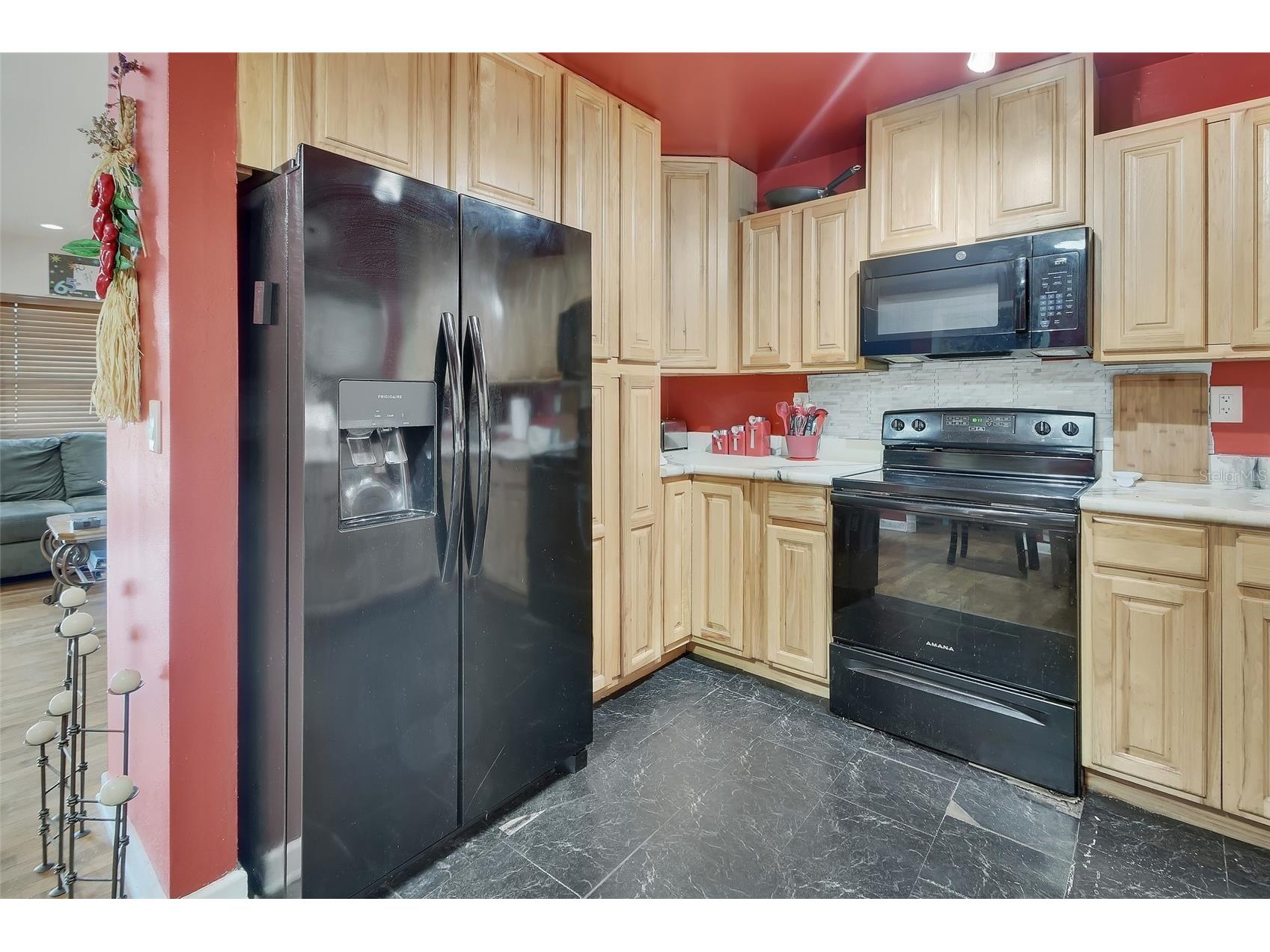 511 S Elsasser Street Deland FL 32720 V4949175 image8