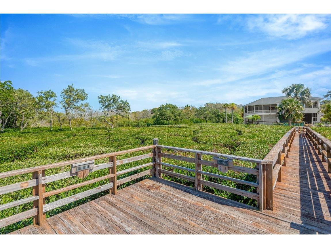 511 Seaview Drive Tarpon Springs FL 34689 - GULF OF MEXICO A4660368 image11