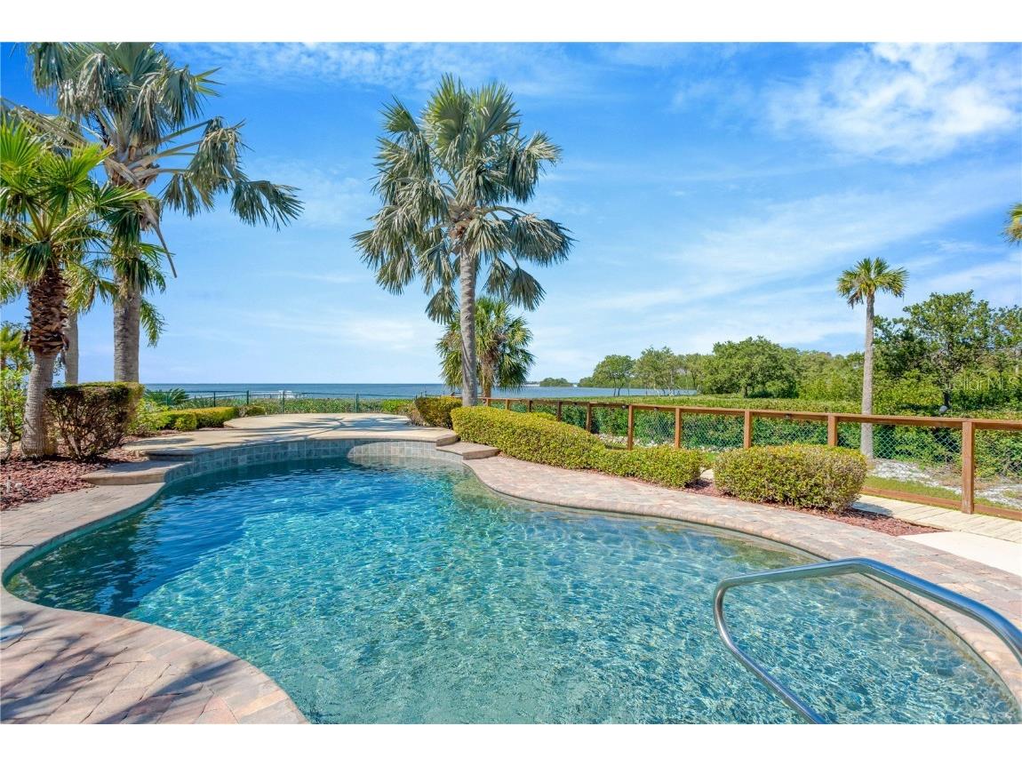 511 Seaview Drive Tarpon Springs FL 34689 - GULF OF MEXICO A4660368 image8