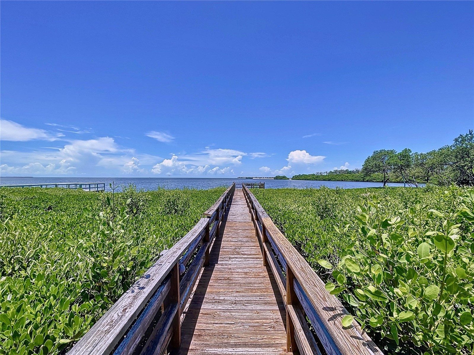 511 Seaview Drive Tarpon Springs FL 34689 - GULF OF MEXICO/AMERICA TB8510049 image43