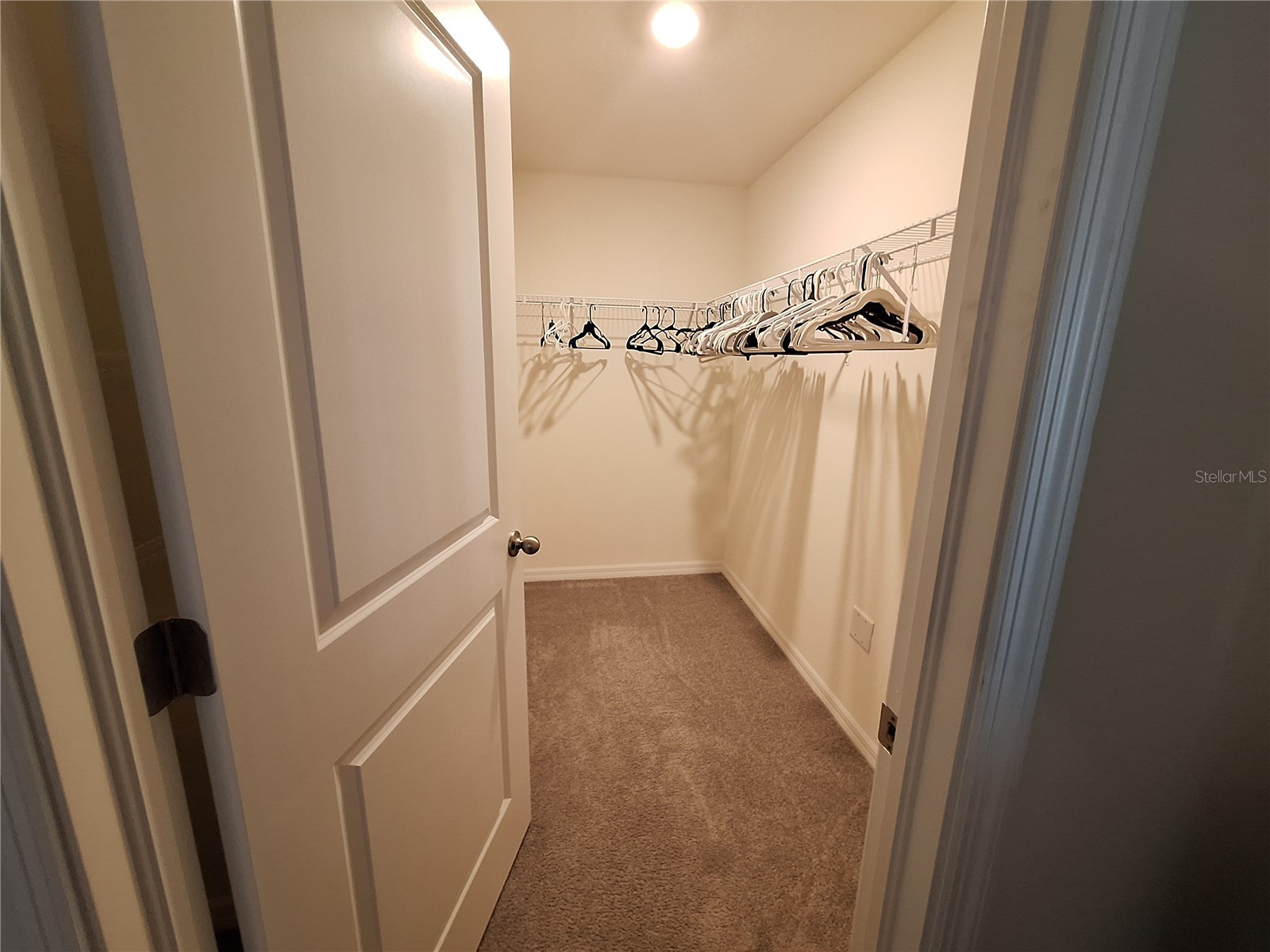 511 Sunlit Coral Street Ruskin FL 33570 TB8483777 image8