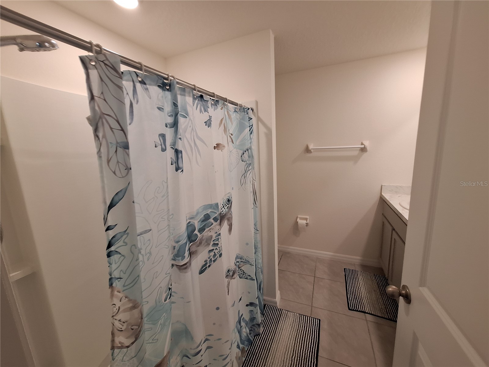 511 Sunlit Coral Street Ruskin FL 33570 TB8483777 image9