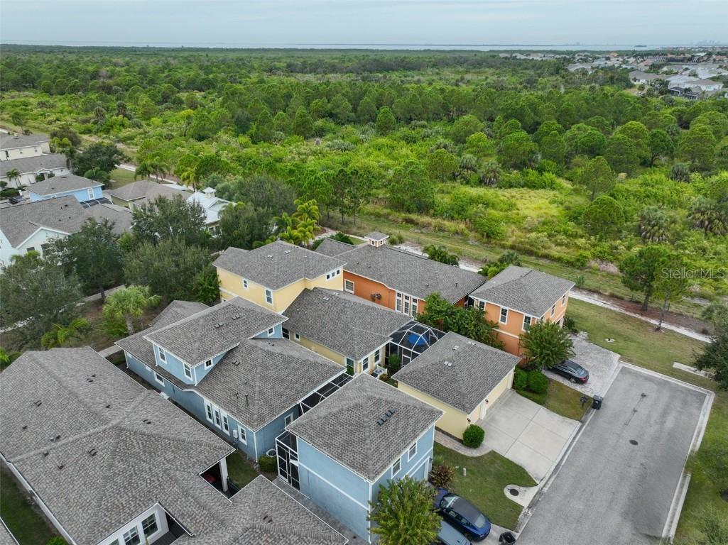 511 Winterside Drive Apollo Beach FL 33572 TB8443700 image49