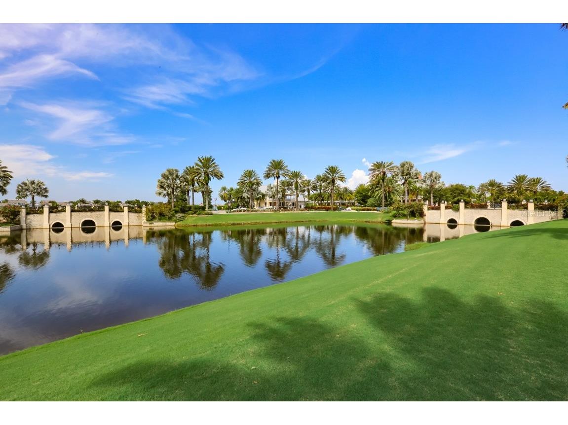 511 Winterside Drive Apollo Beach FL 33572 TB8443700 image52