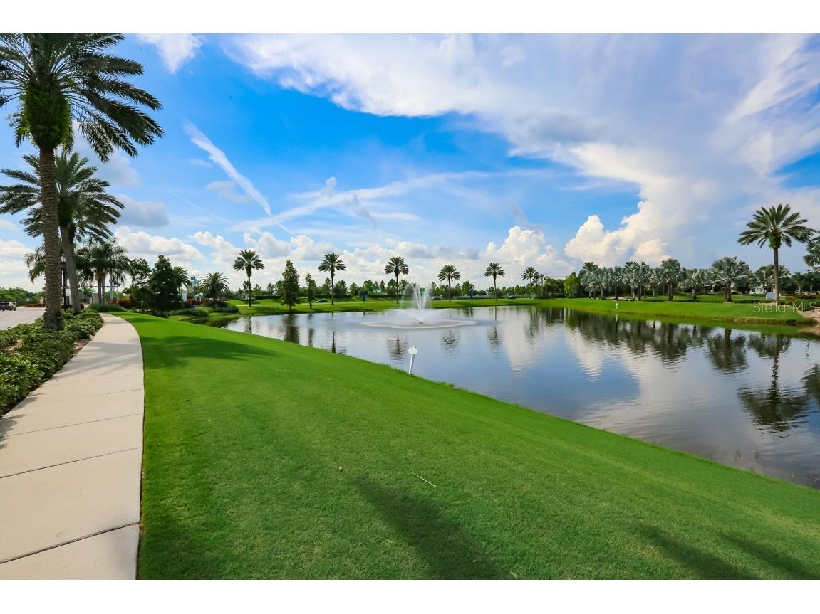 511 Winterside Drive Apollo Beach FL 33572 TB8443700 image53