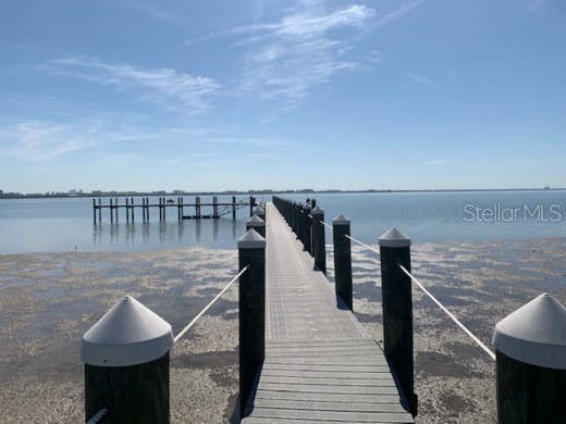 5110 Bay Club Circle #5110 Tampa FL 33607 TB8427363 image28