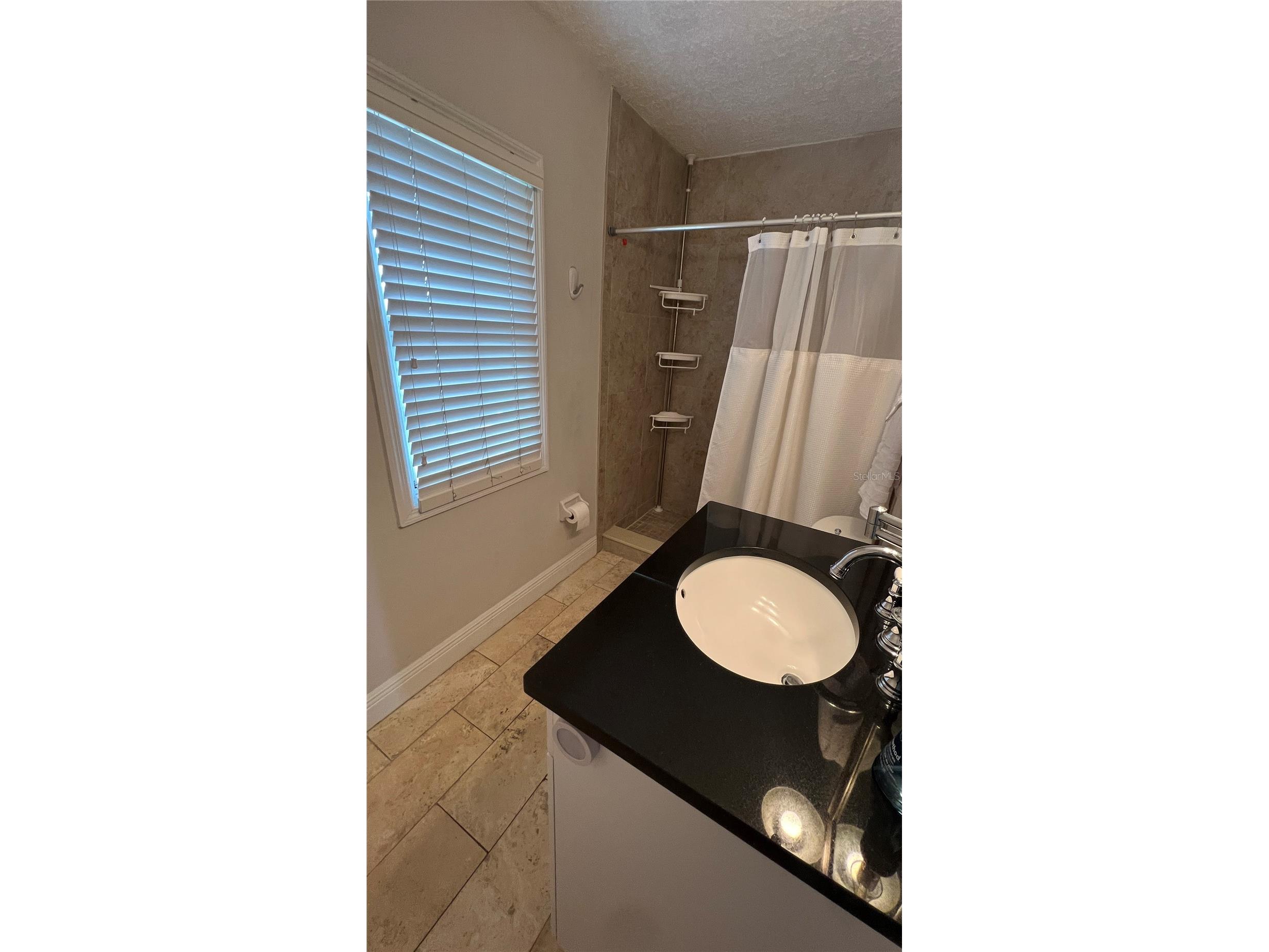 5110 Coquina Key Drive SE #C FURNISHED Saint Petersburg FL 33705 - TAMPA BAY TB8509607 image14