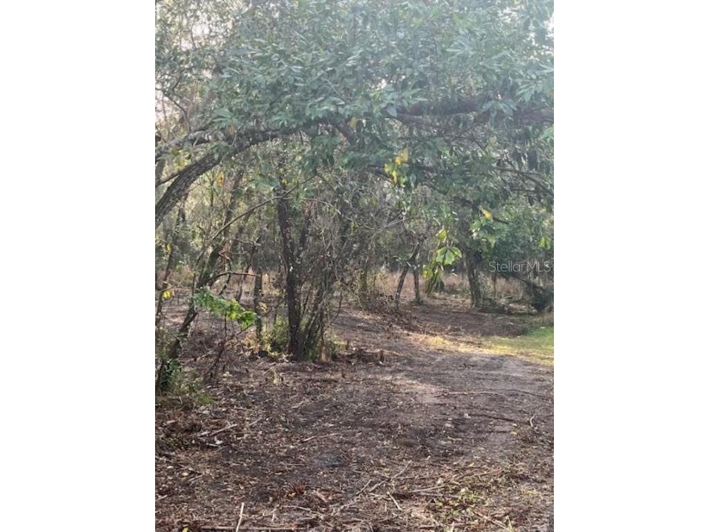 5110 Penvan Avenue De Leon Springs FL 32130 O6092248 image1