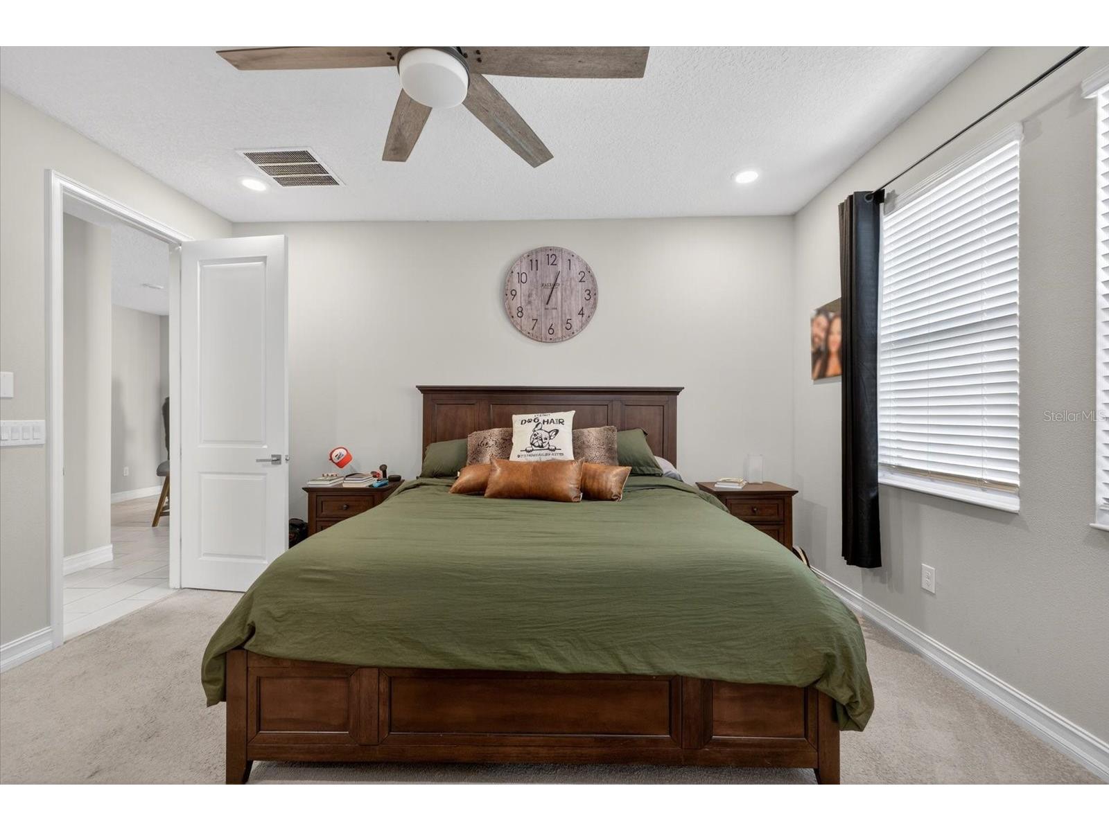 5110 San Martino Drive Wesley Chapel FL 33543 TB8466411 image18