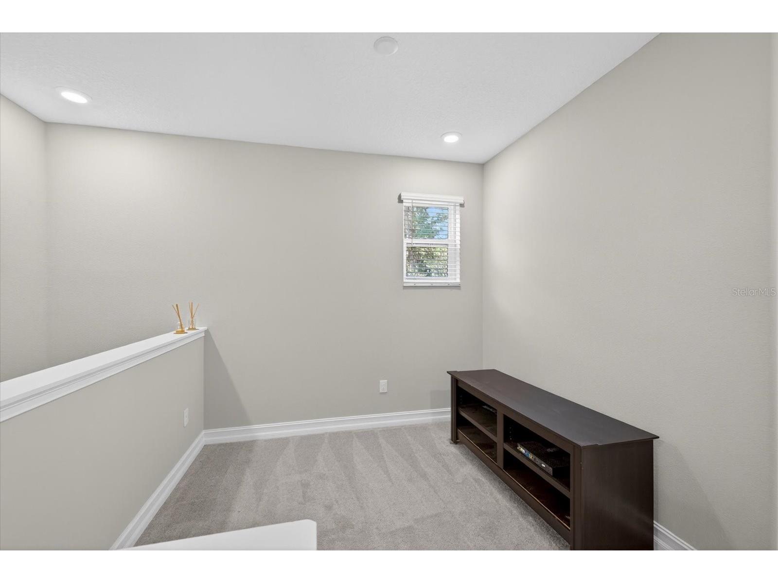 5110 San Martino Drive Wesley Chapel FL 33543 TB8466411 image25