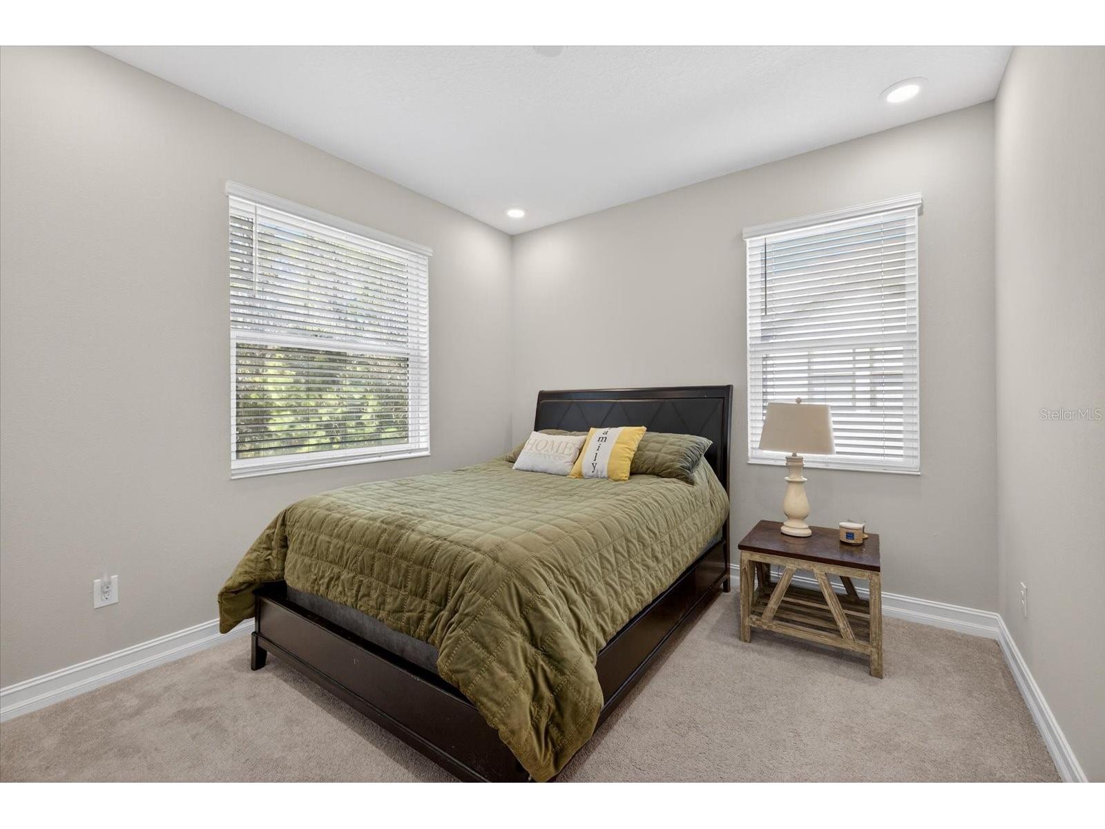 5110 San Martino Drive Wesley Chapel FL 33543 TB8466411 image28