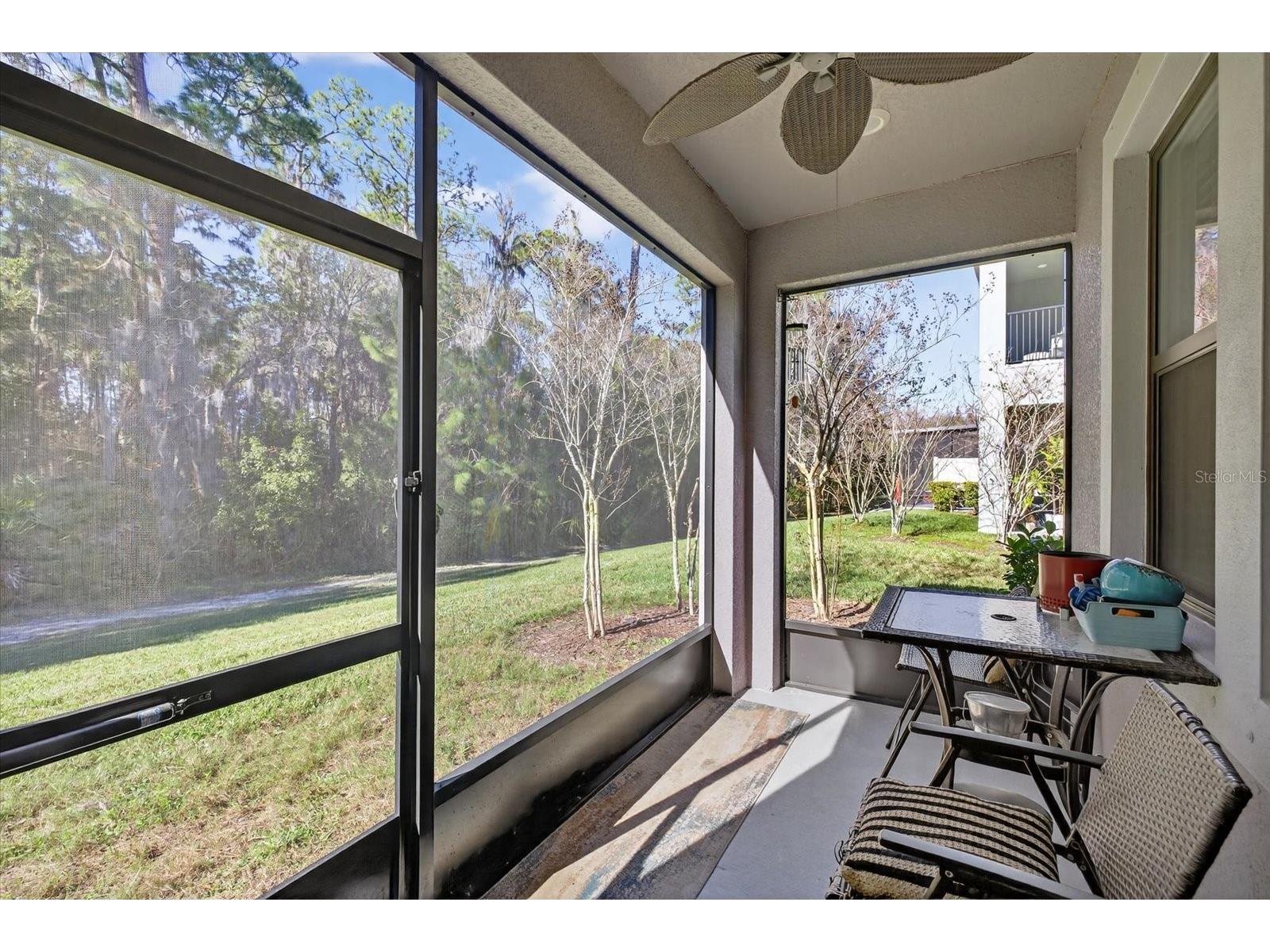 5110 San Martino Drive Wesley Chapel FL 33543 TB8466411 image34