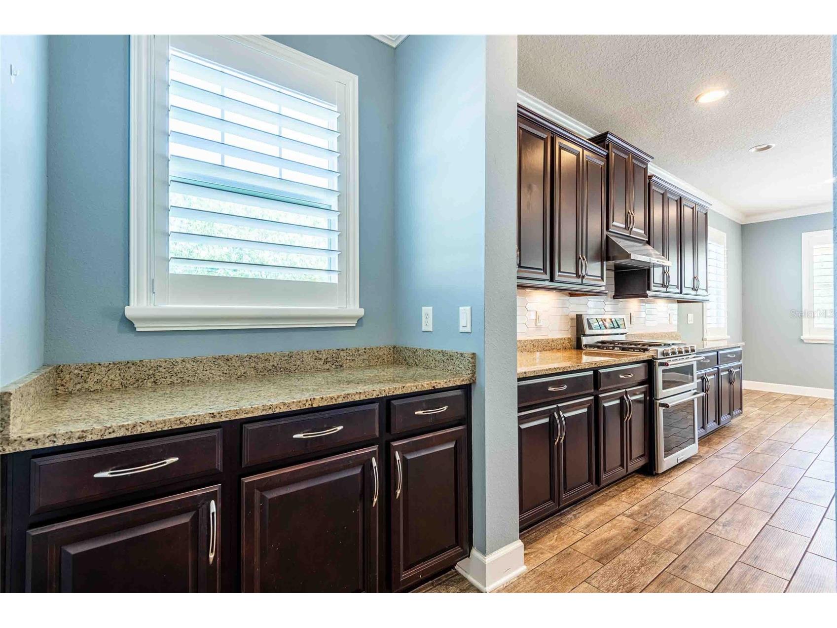 5111 Coastal Scene Drive Apollo Beach FL 33572 TB8504569 image11