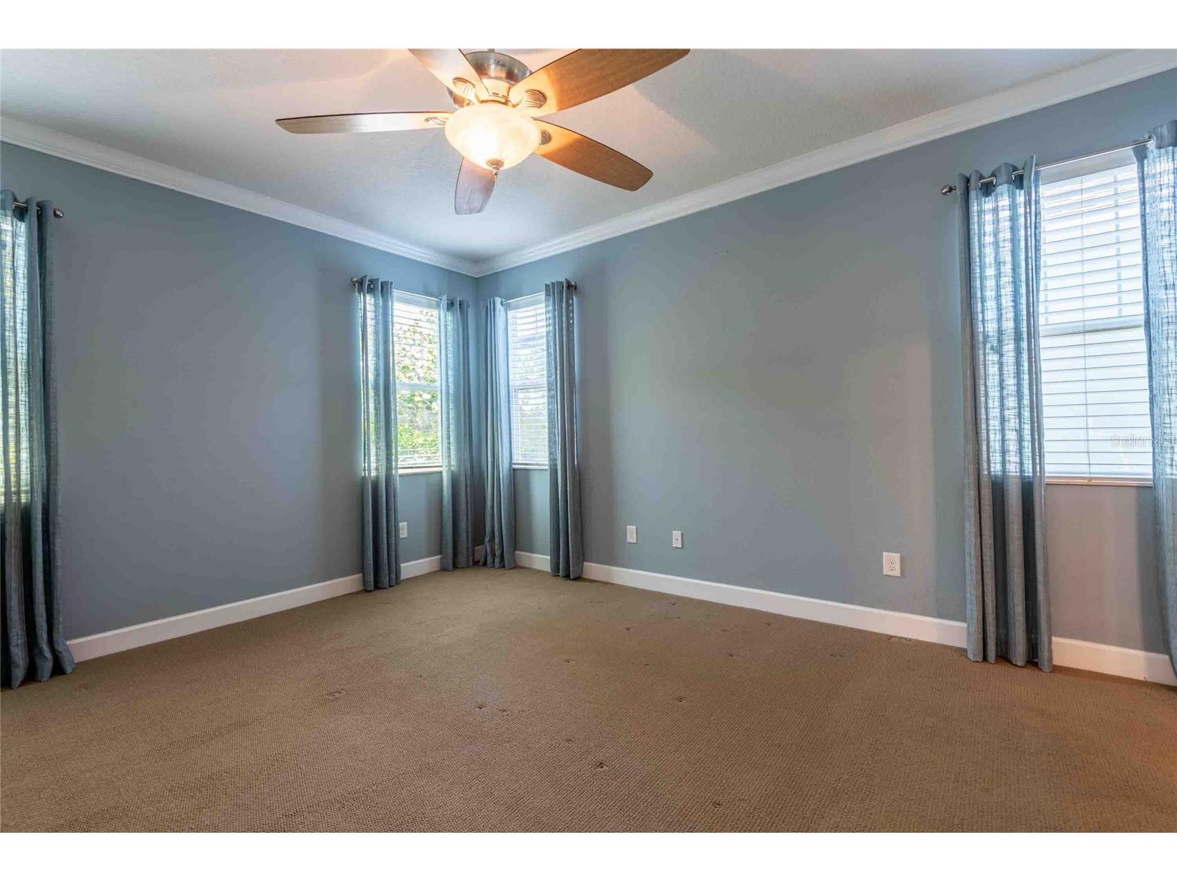 5111 Coastal Scene Drive Apollo Beach FL 33572 TB8504569 image18