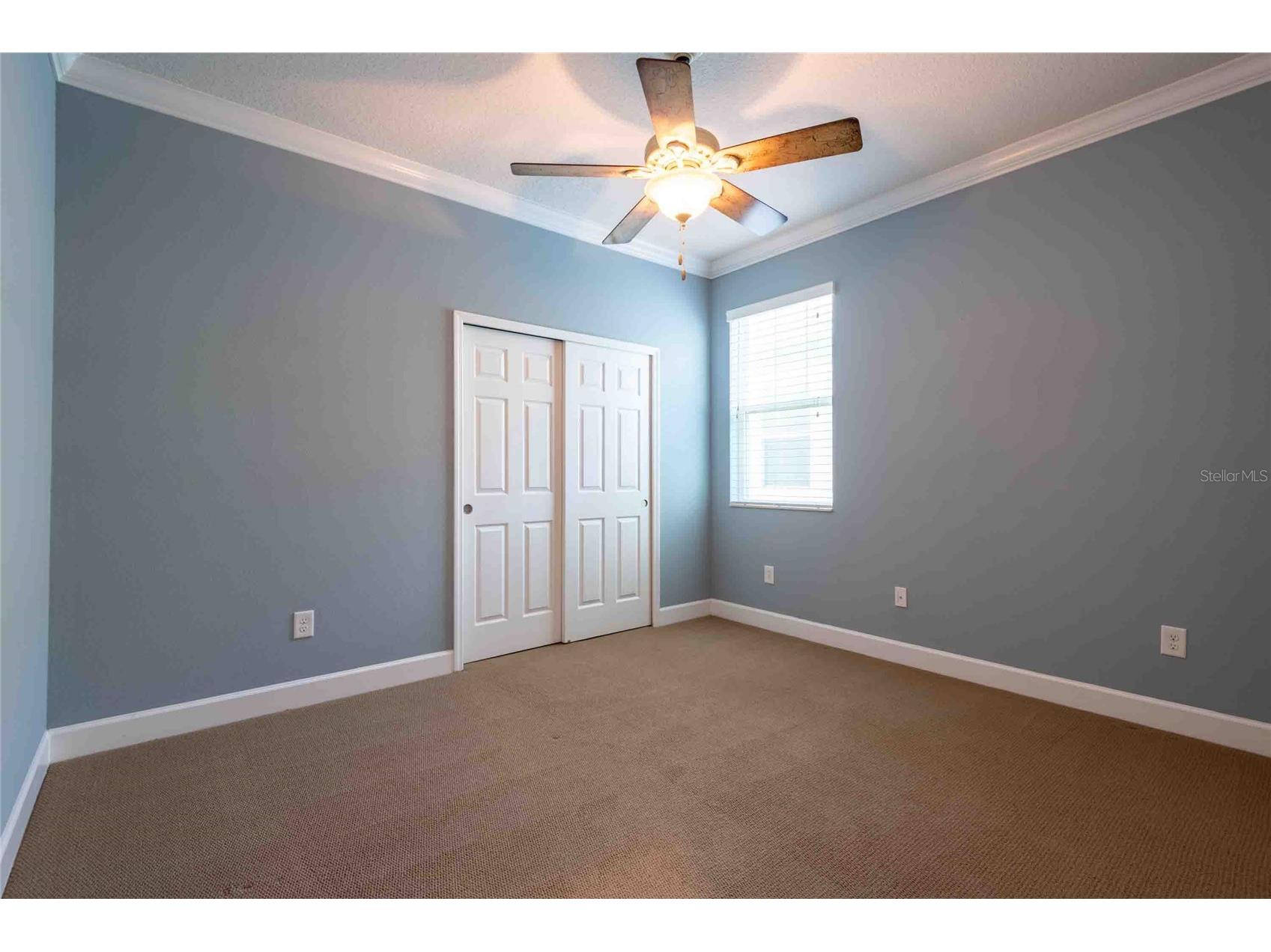5111 Coastal Scene Drive Apollo Beach FL 33572 TB8504569 image30
