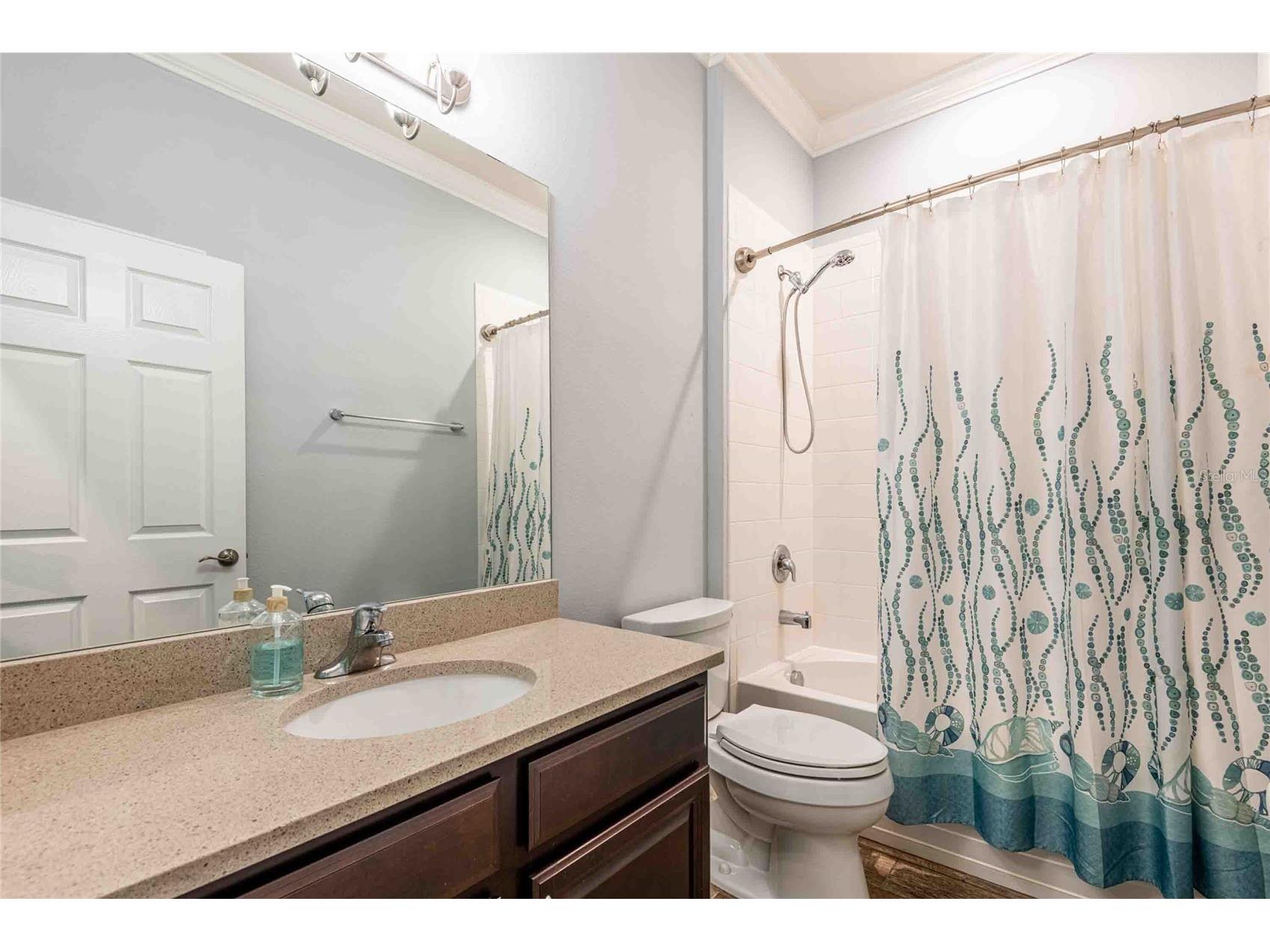 5111 Coastal Scene Drive Apollo Beach FL 33572 TB8504569 image31