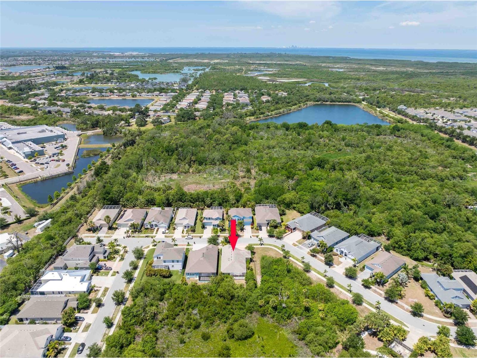 5111 Coastal Scene Drive Apollo Beach FL 33572 TB8504569 image42