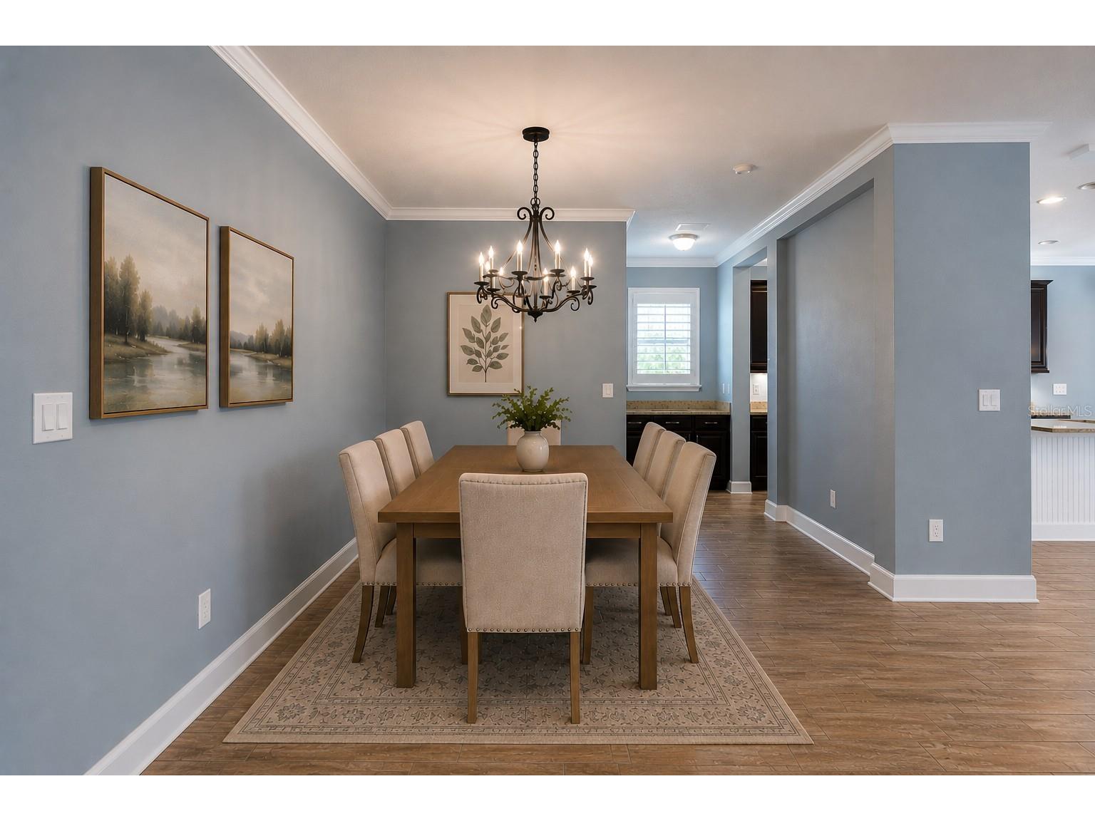 5111 Coastal Scene Drive Apollo Beach FL 33572 TB8504569 image8