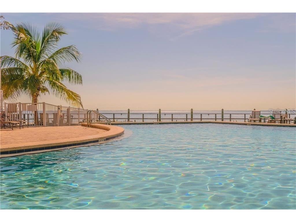 5111 Coquina Key Drive SE #A Saint Petersburg FL 33705 TB8516189 image39