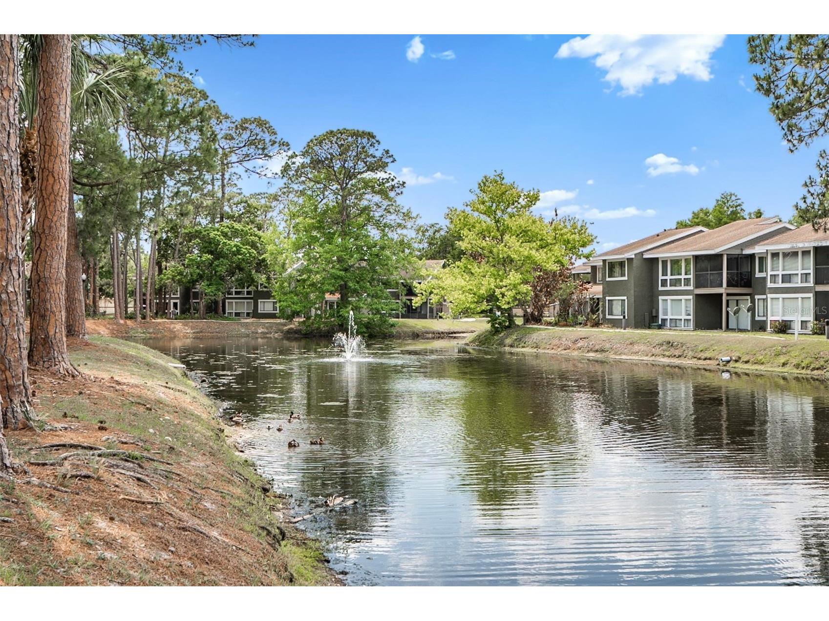 5111 Eaglesmere Drive #D10 Orlando FL 32819 R4911705 image22