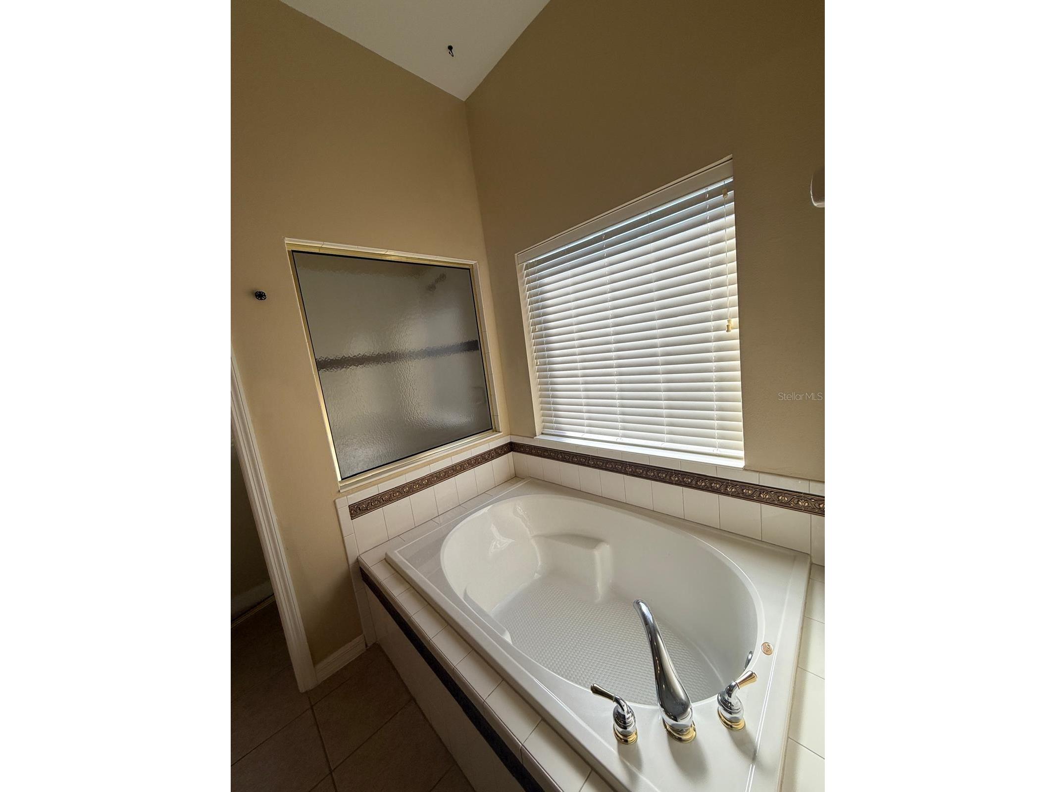 5111 Ironsides Court Tavares FL 32778 O6405638 image24