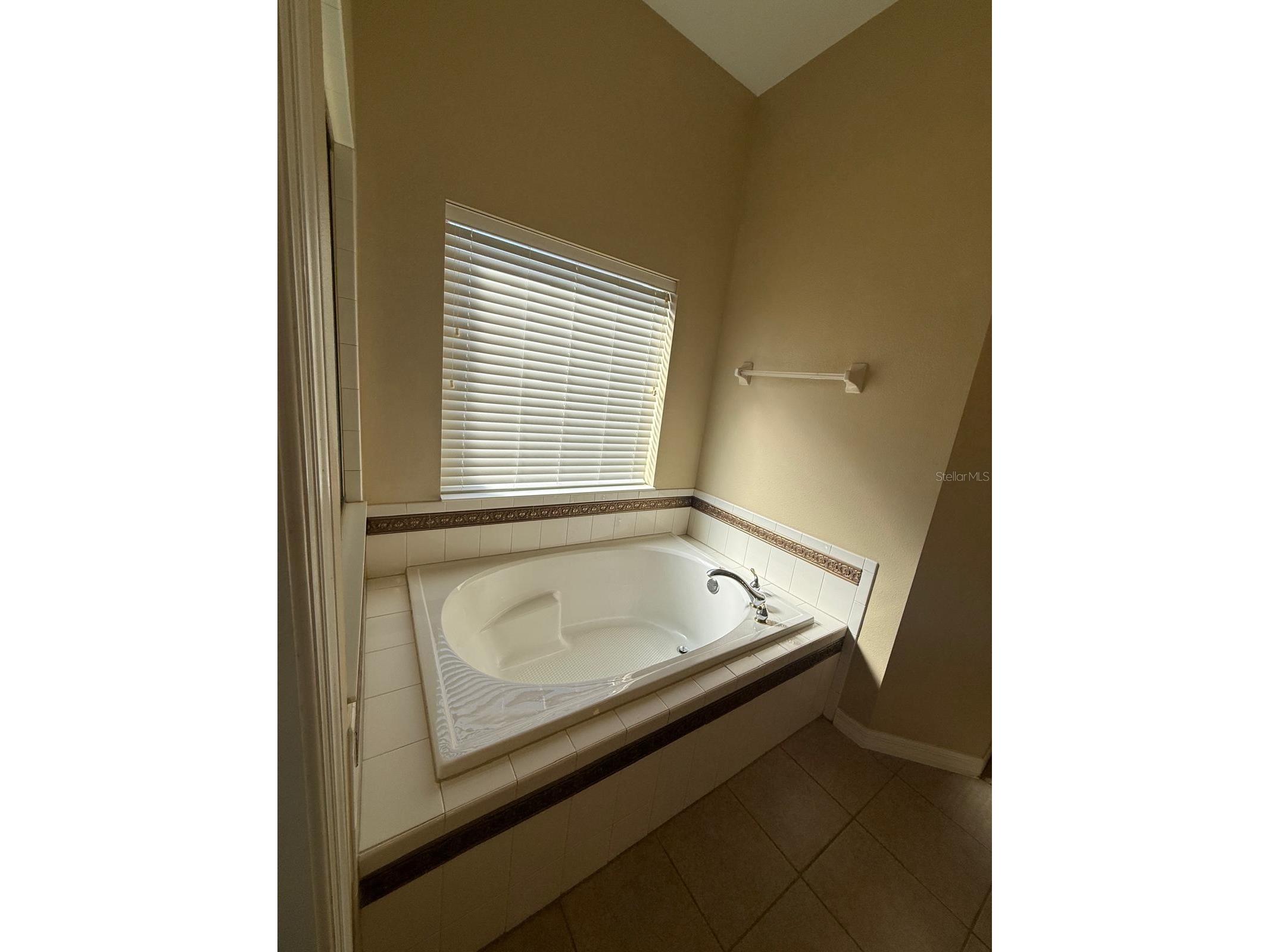 5111 Ironsides Court Tavares FL 32778 O6405638 image27