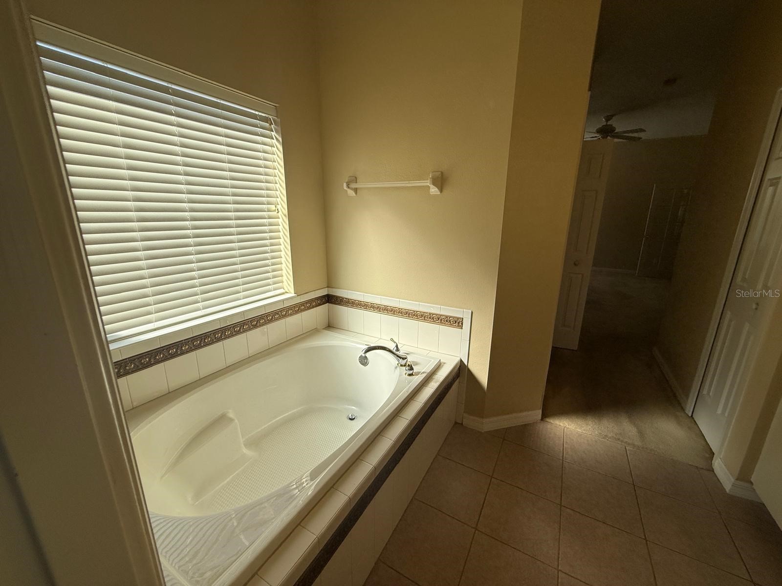5111 Ironsides Court Tavares FL 32778 O6405638 image29